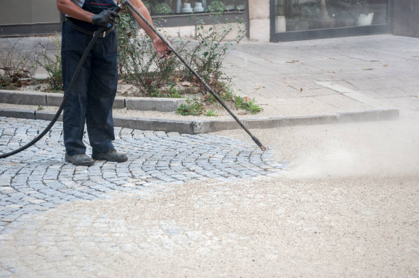 Best Animal Enclosure Cleaning  in Oak Ridge, TN